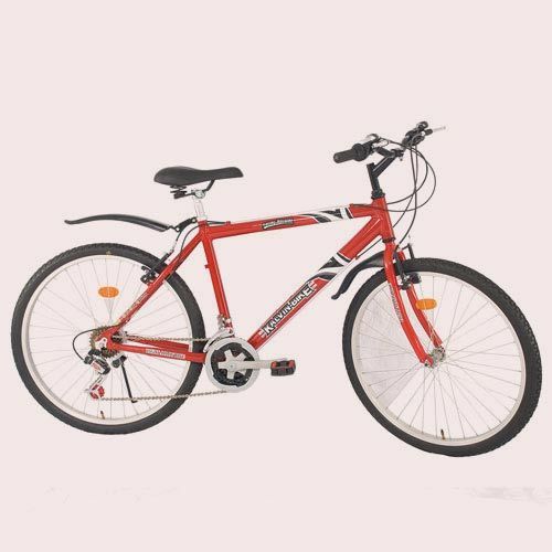 L.A.B 26 Inches Bicycle